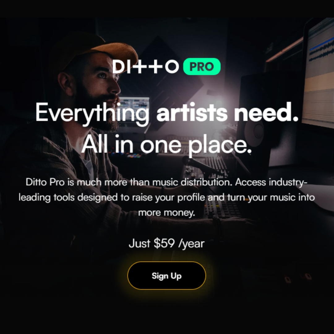 Get 20% off your first year of Ditto Pro with code PRO20. The checkout example shows the yearly Pro plan reduced from $59.00 to $47.20, saving $11.80 before purchase.