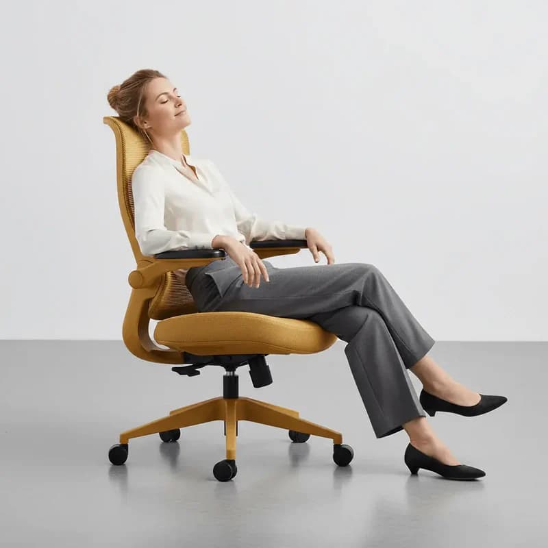 Resistance Color Ergonomic Office Chair