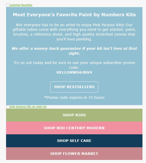 Pink Picasso Kits welcome email showing a unique subscriber promo code
