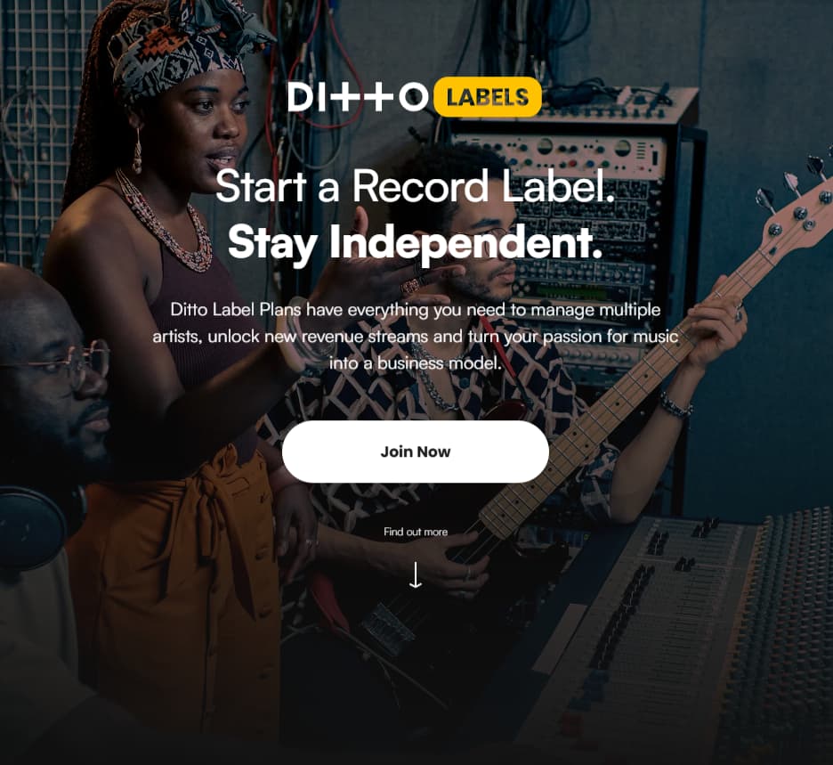Ditto Labels page showing a multi-artist setup for independent label teams and roster management