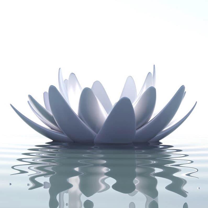 Pure Frequencies Coupons and Promo Code