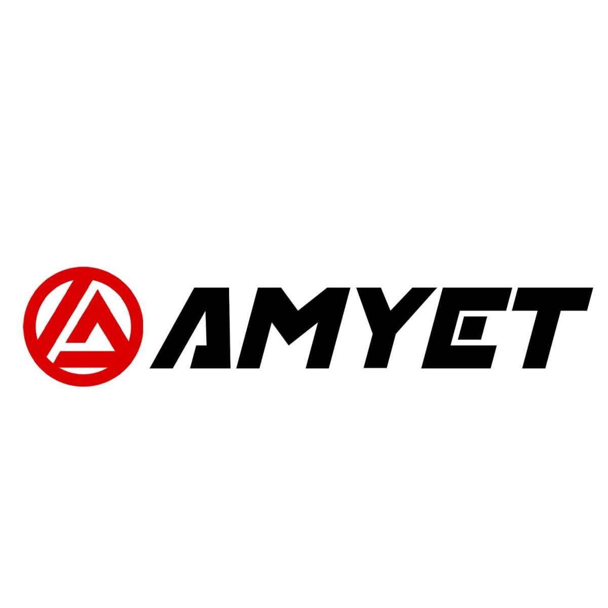 AMYET eBikes Coupons and Promo Code