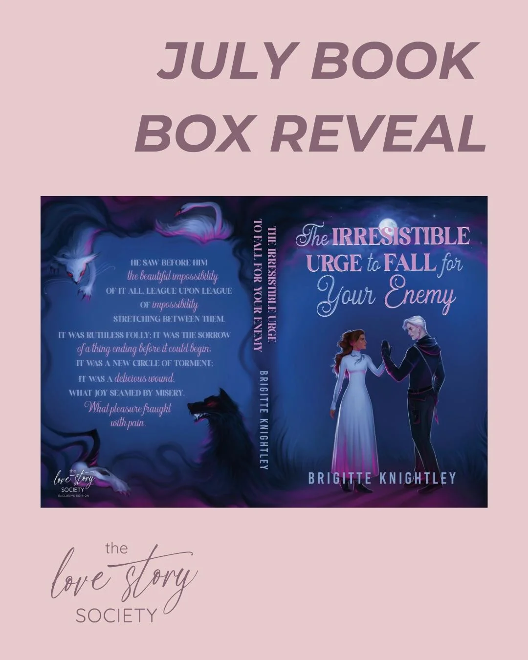 The Love Story Society special-edition romance book