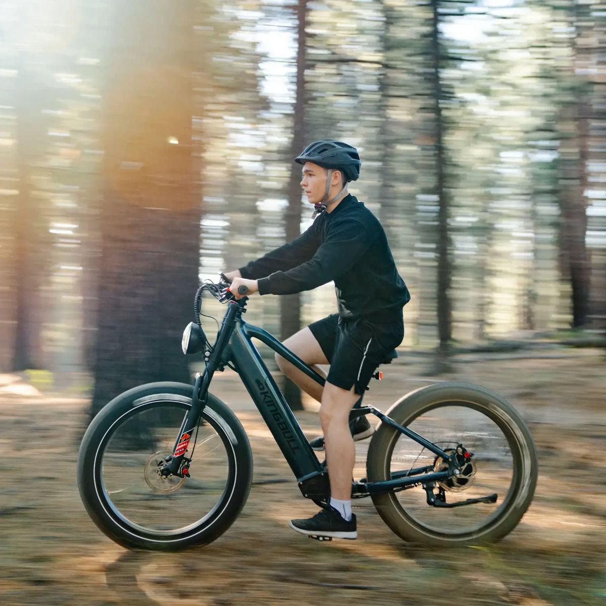 Kingbull Rover 2.0 full suspension e-bike pricing value pick