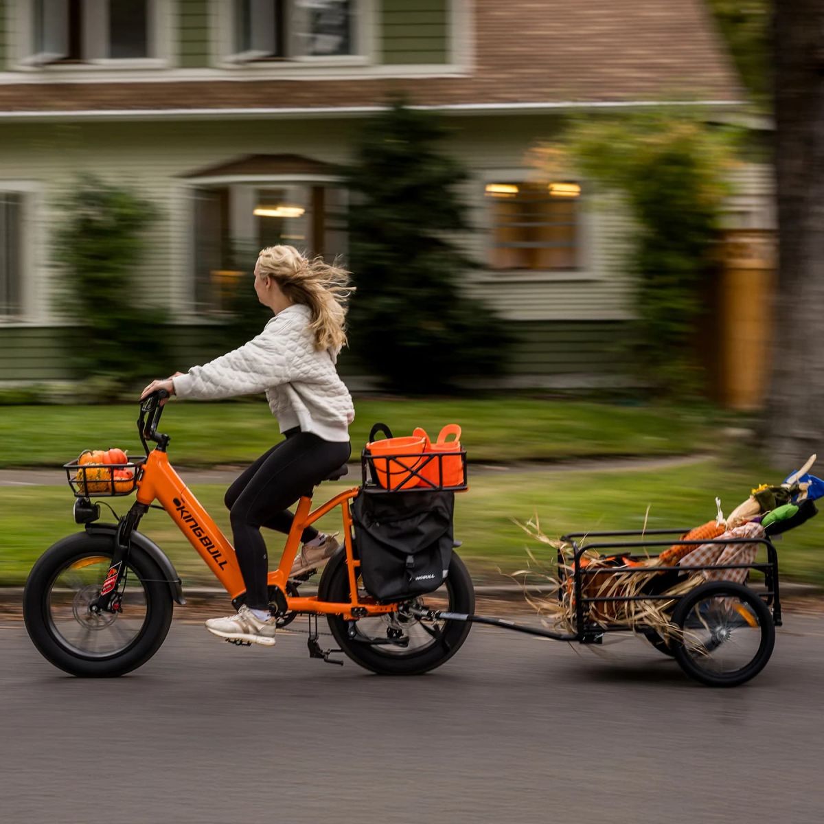 Kingbull Voyager 2.0 best cargo e-bike pick
