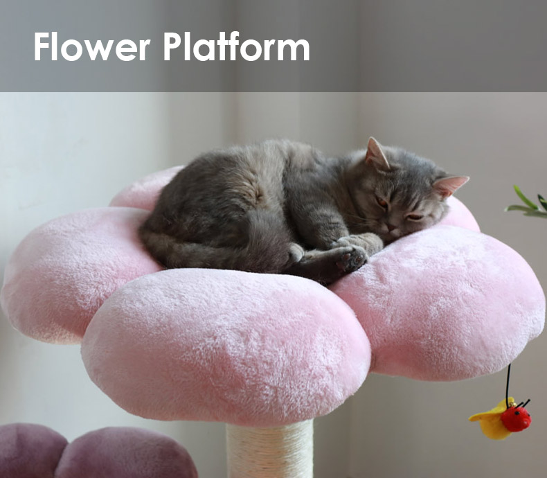 Cat resting on the top flower platform of the ZezeLife cat tree
