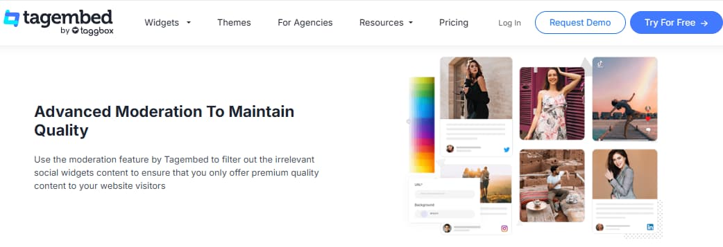 Tagembed moderation customization themes layouts filters custom CSS social widget