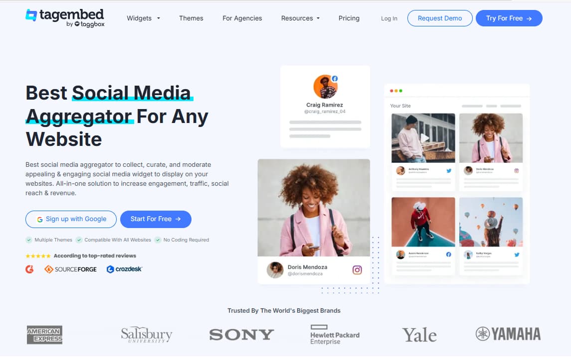 Tagembed official homepage social media aggregator for website social proof widgets